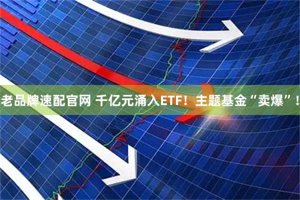 老品牌速配官网 千亿元涌入ETF!主题基金“卖爆”!