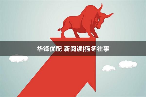 华锋优配 新阅读|猫冬往事