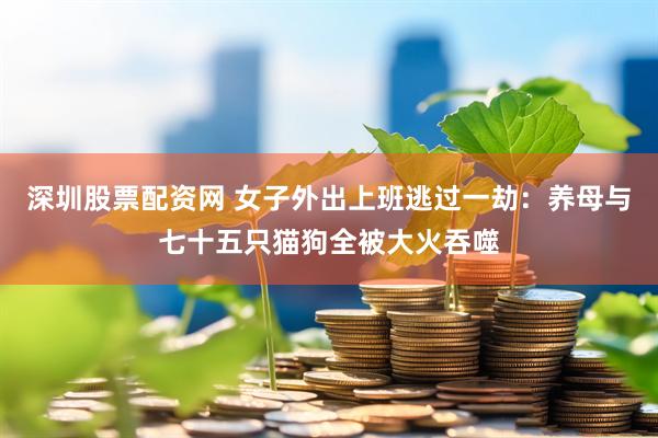 深圳股票配资网 女子外出上班逃过一劫：养母与七十五只猫狗全被大火吞噬