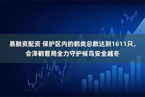 易融资配资 保护区内的鹤类总数达到1611只，会泽鹤管局全力守护候鸟安全越冬