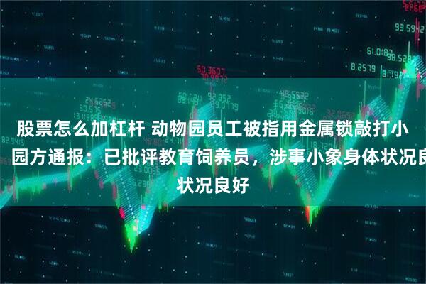 股票怎么加杠杆 动物园员工被指用金属锁敲打小象，园方通报：已批评教育饲养员，涉事小象身体状况良好