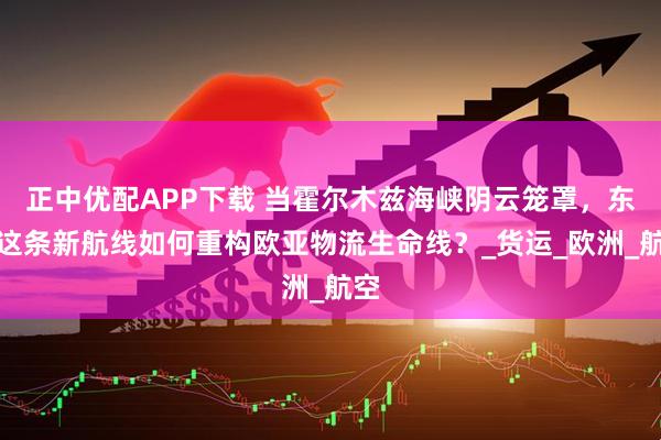 正中优配APP下载 当霍尔木兹海峡阴云笼罩，东航这条新航线如何重构欧亚物流生命线？_货运_欧洲_航空