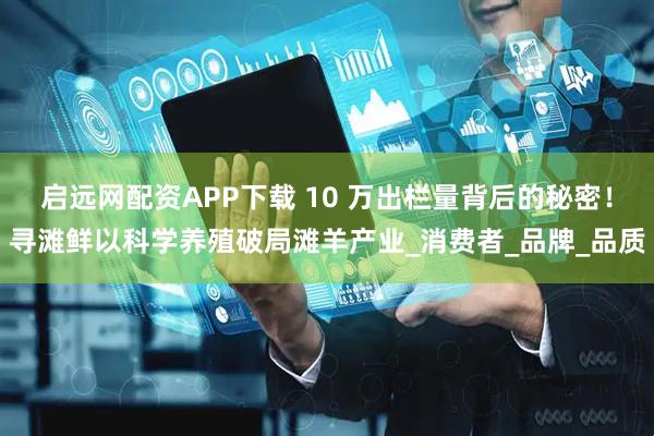 启远网配资APP下载 10 万出栏量背后的秘密！寻滩鲜以科学养殖破局滩羊产业_消费者_品牌_品质