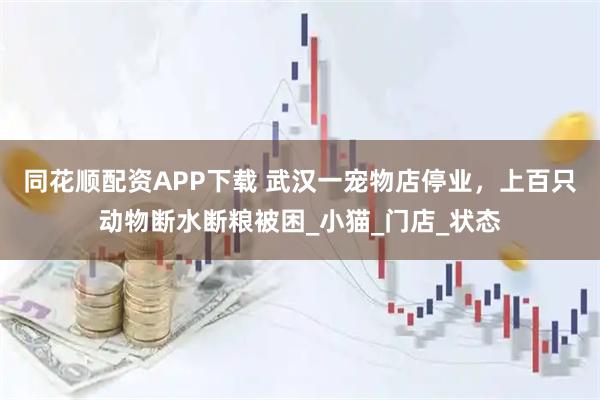 同花顺配资APP下载 武汉一宠物店停业，上百只动物断水断粮被困_小猫_门店_状态