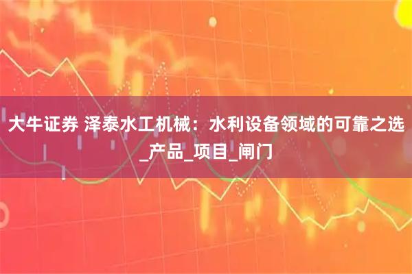 大牛证券 泽泰水工机械：水利设备领域的可靠之选_产品_项目_闸门