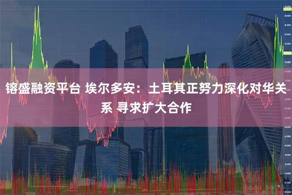 镕盛融资平台 埃尔多安：土耳其正努力深化对华关系 寻求扩大合作